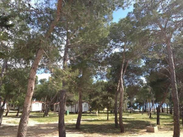 Отель Camp Porat Повляна Экстерьер фото